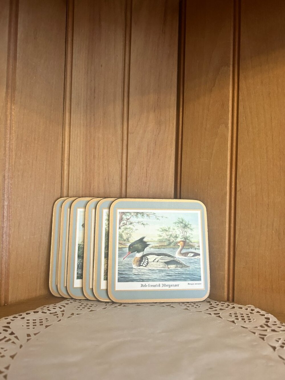 Vintage Pimpernel Bird Themed Wildlife Cork Backed Coasters Set Of 6 England 198